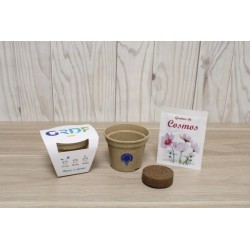 Kit de plantation coloré