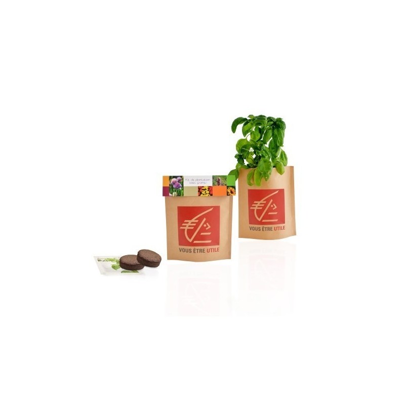 Pot kraft  pop-up-petit modèle