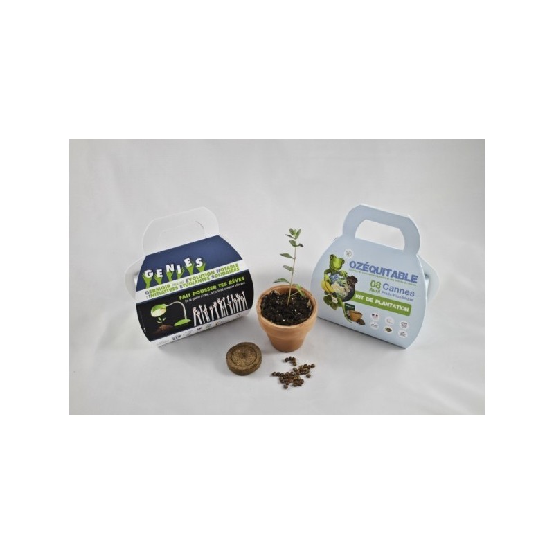 Mallette kit de plantation