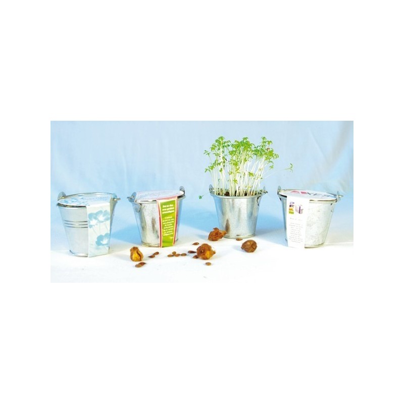 Kit de plantation pot zinc 6cm