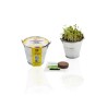 Kit de plantation pot zinc 6cm