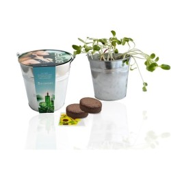 Kit de plantation pot zinc 12cm