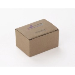 Lampe frontale COB FRENTE