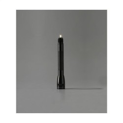 Mini Maglite® AAA lampe torche