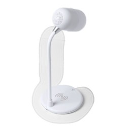 Petite lampe avec enceinte et chargeur