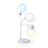 Petite lampe avec enceinte et chargeur