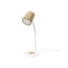 Lampe Multifonction