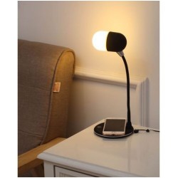 LAMPE INDUCTION HAUT PARLEUR