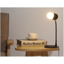 LAMPE INDUCTION HAUT PARLEUR