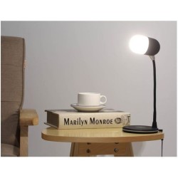 LAMPE INDUCTION HAUT PARLEUR