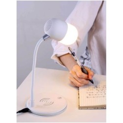 LAMPE INDUCTION HAUT PARLEUR