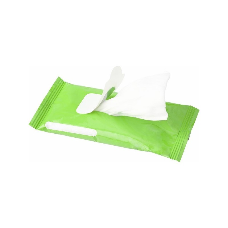 Sachet contenant 10 lingettes désinfectantes