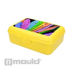 Boîte de conservation schoolbox 19x13x7cm