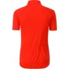 Maillot cycliste Homme - James Nicholson