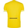 Maillot cycliste Homme - James Nicholson
