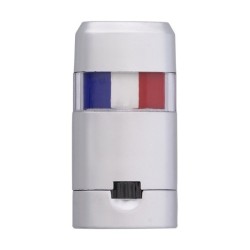 Maquillage de supporter