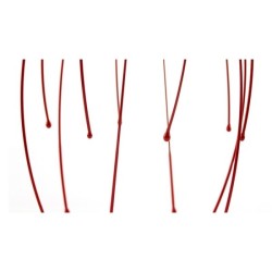 Masseur de crâne coloré