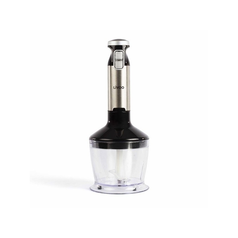 Set mixeur plongeant