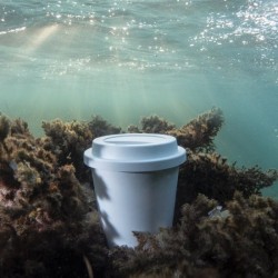 Gobelet PLA biodégradable 450 ml