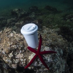 Gobelet PLA biodégradable 450 ml