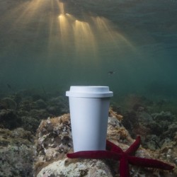 Gobelet PLA biodégradable 450 ml