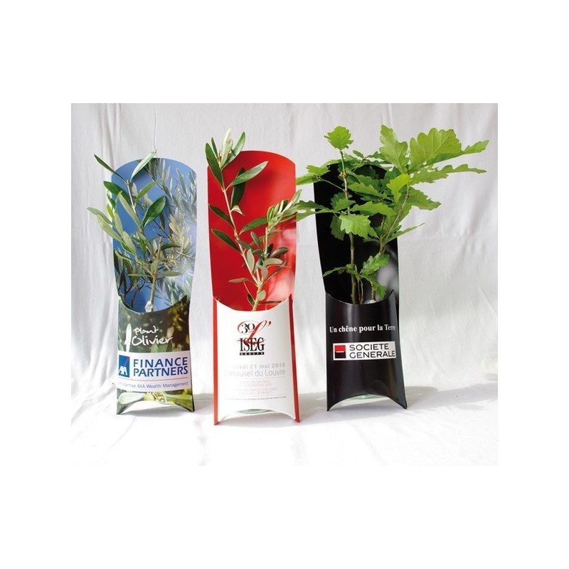 L'Etui Arbre  - Prestige