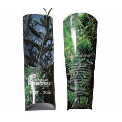 L'Etui Arbre  - Prestige