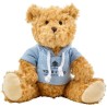 Ours en peluche avec sweat capuche
