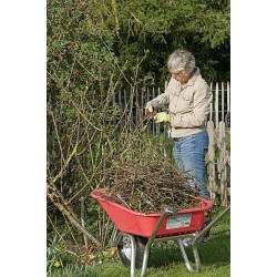 Brouette à caisse plastique