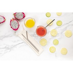 Set de 3 pailles en métal