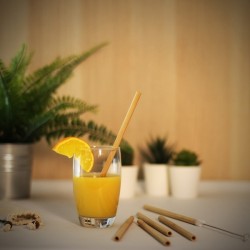 Set de 6 pailles en bambou