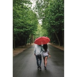  Parapluie tempête 27 pouces