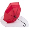 Parapluie Extensible