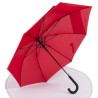 Parapluie Extensible