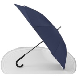 Parapluie Extensible