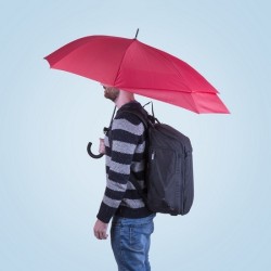 Parapluie Extensible