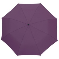 Parapluie automatique pliable 3 segments