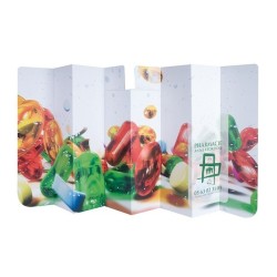 Pare soleil carton France