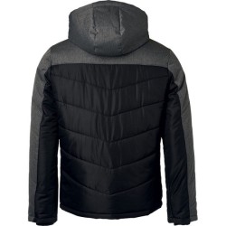 Veste matelassée hiver Homme - James Nicholson
