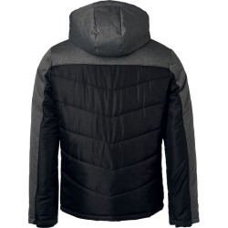 Veste matelassée hiver Homme - James Nicholson