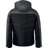 Veste matelassée hiver Homme - James Nicholson