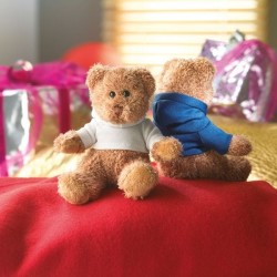 Ours en peluche avec T-shirt