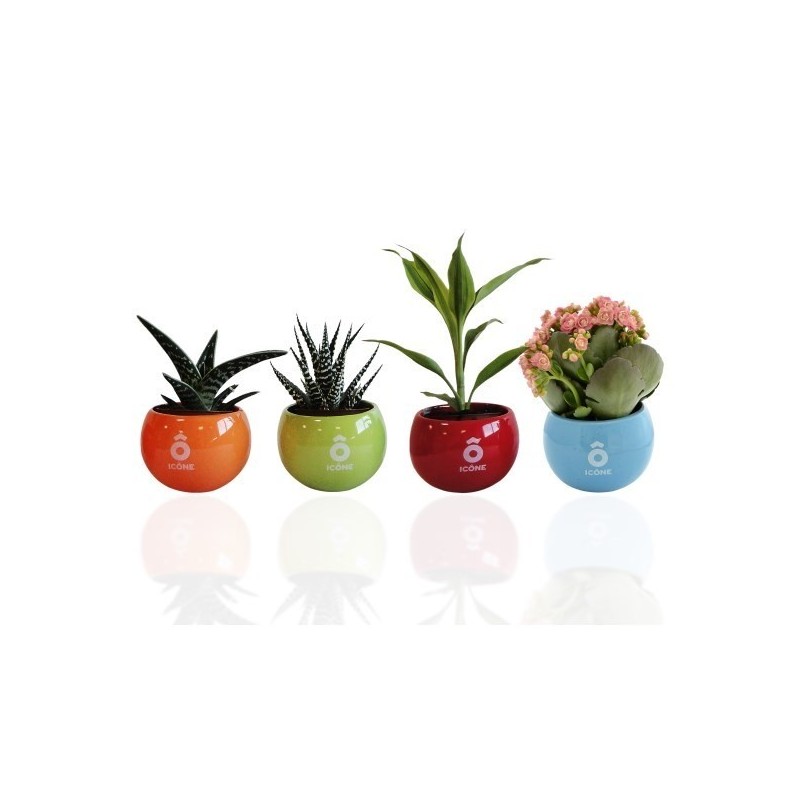 Plante dépolluante en pot céramique aimanté