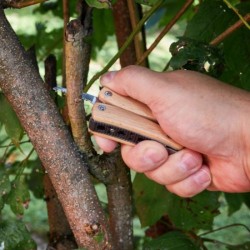 Outil multifonctions Wood, petit