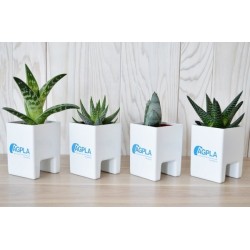 Pot'ordi - mini-plante ordinateur