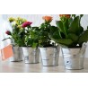 Mini plante en pot zinc