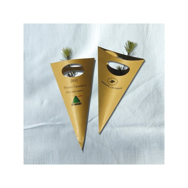 Plant d'arbre en cornet kraft