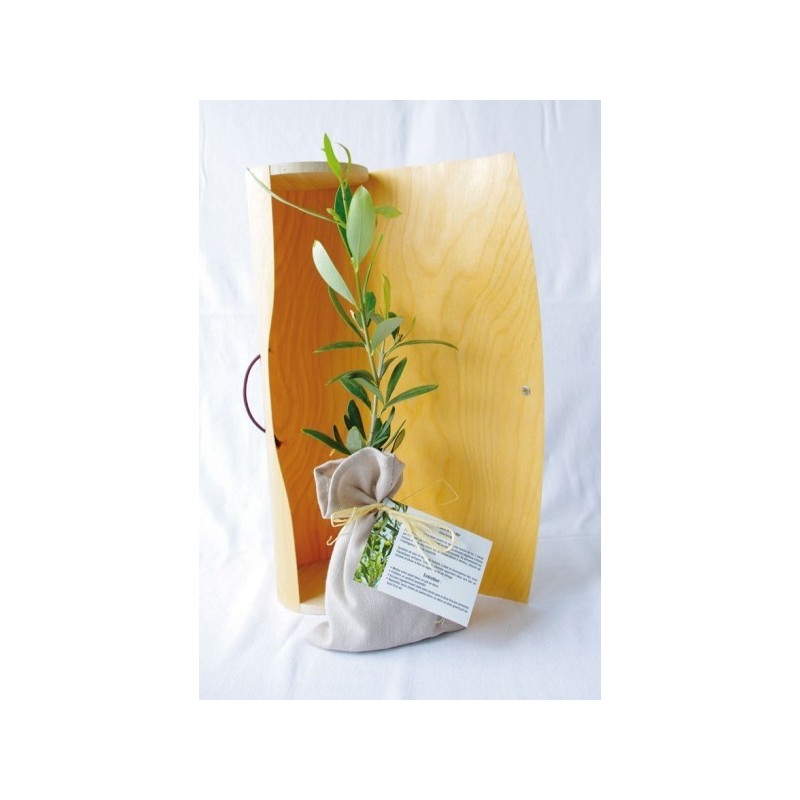 Plant d'arbre en tube bois