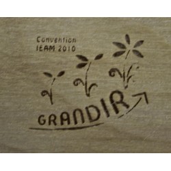 Plant d'arbre en tube bois