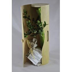 Plant d'arbre en tube bois